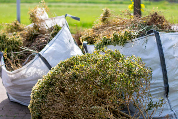 Professional Junk Removal  in Metzger, OR